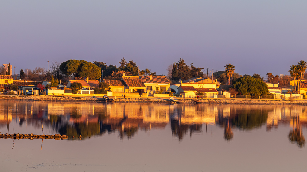 Coucher de soleil en camargues.jpg