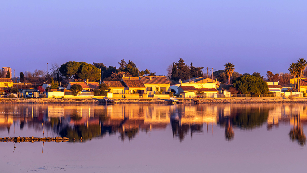 Photo Faize31-Coucher soleil Camargue- 2 fev 2022.jpg