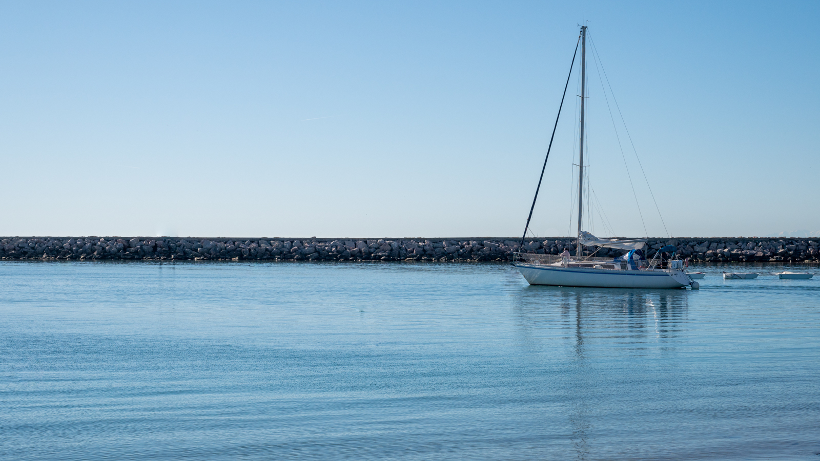 DSC_2225-2.jpg