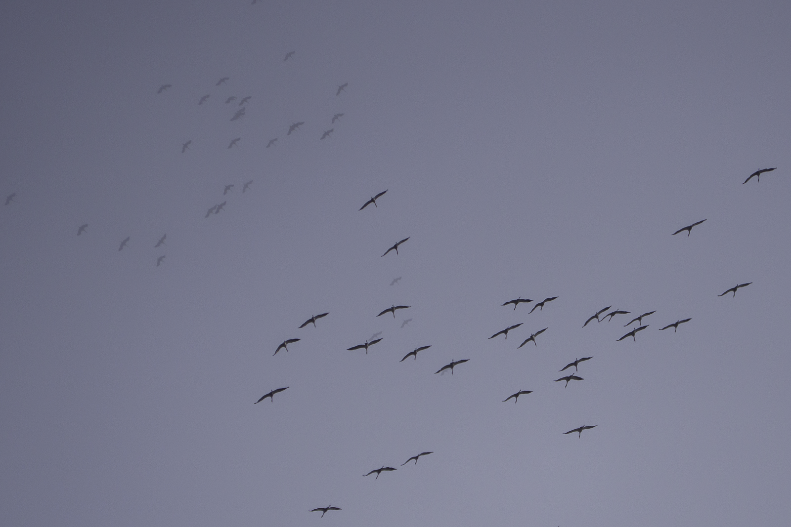 P2000320.jpg