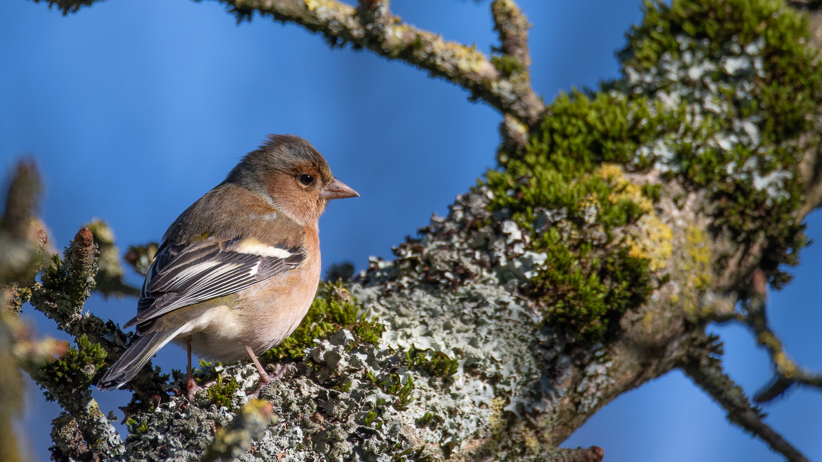 DSC_7363.jpg