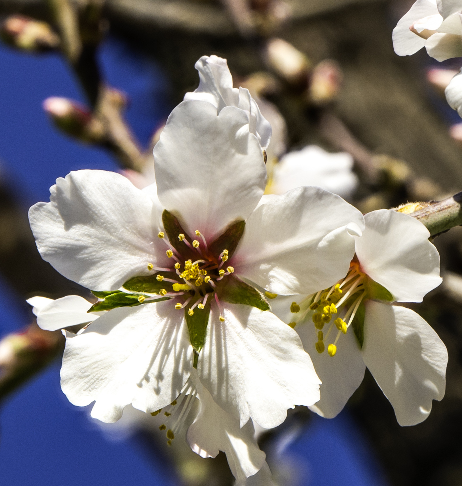 DSC_2523-Modifier.jpg