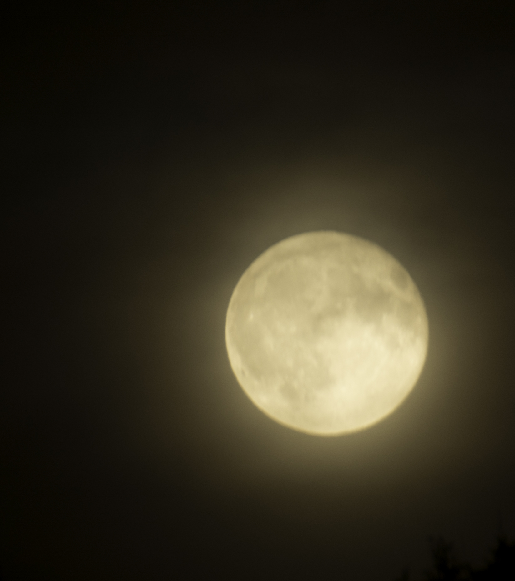 DSC_0871-Modifier-2-Modifier.jpg