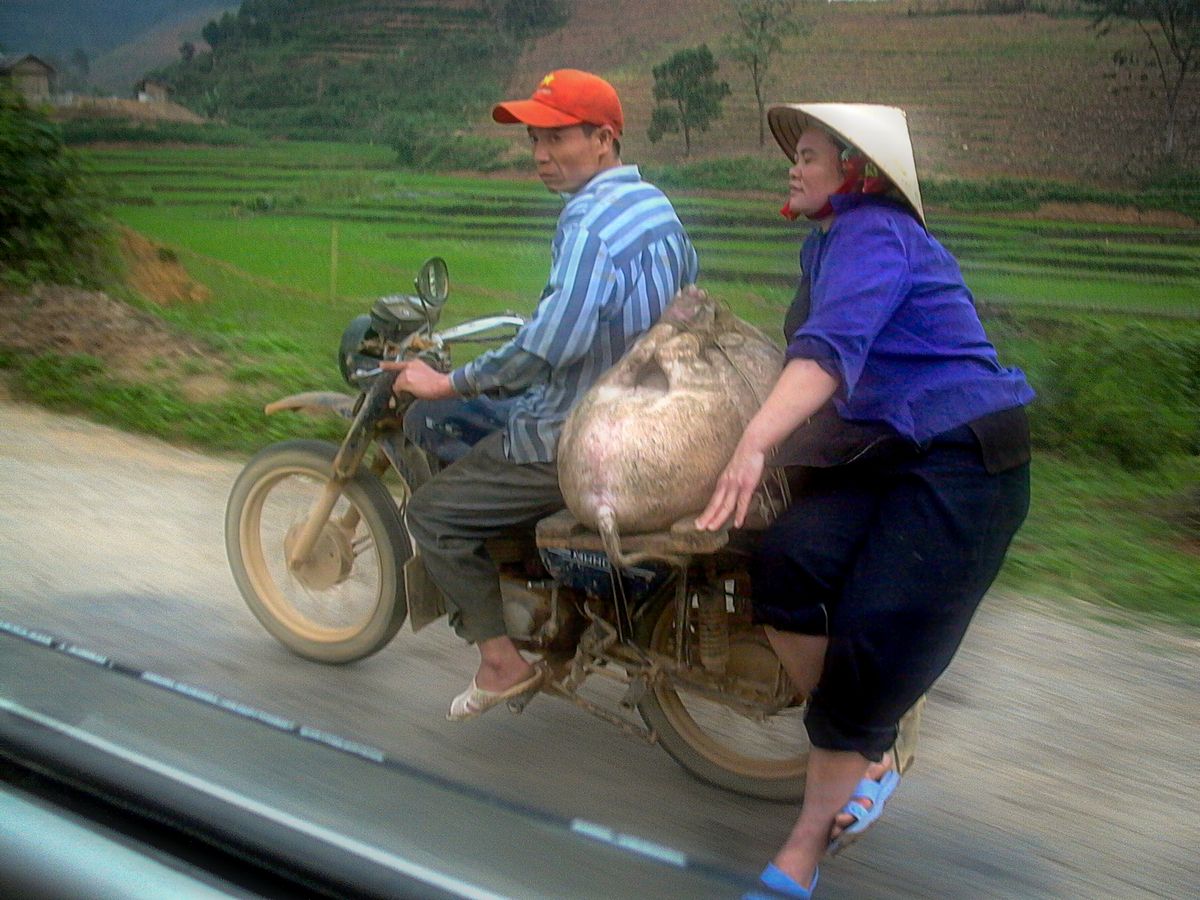 2roues4.jpg