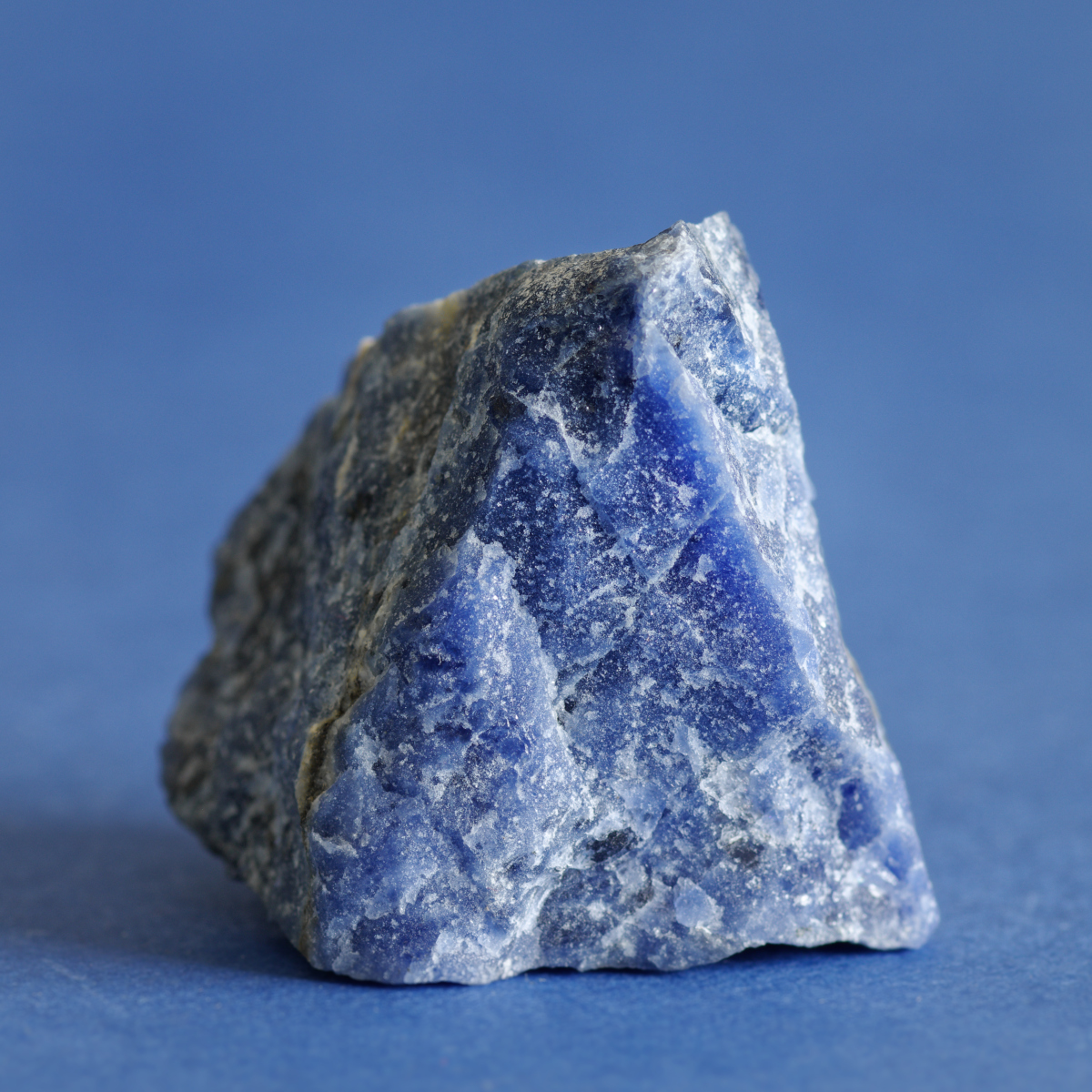 Bleu2.jpg