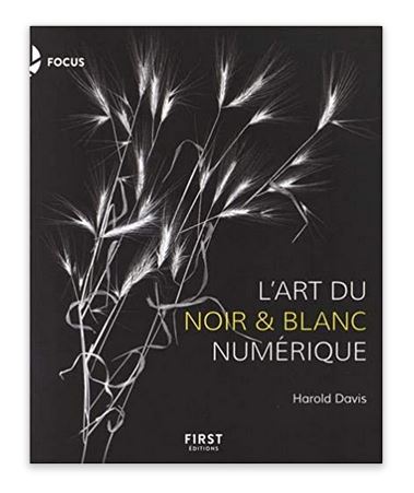 NB numérique.JPG