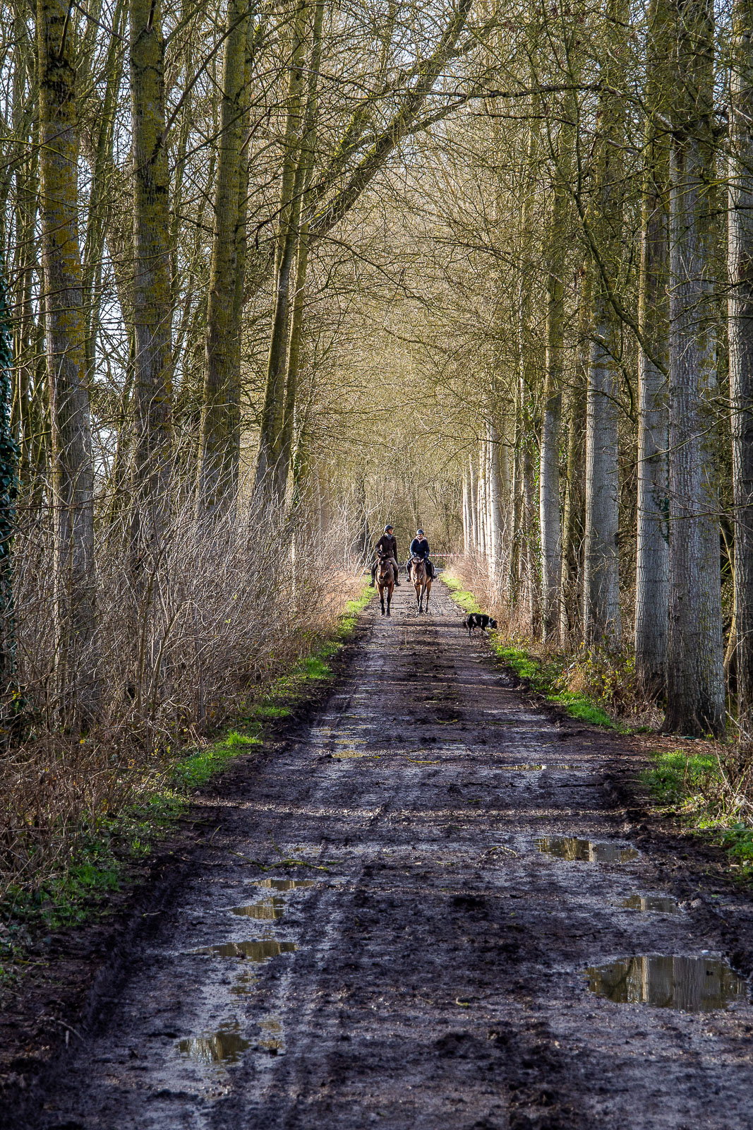 _2072584-3.jpg