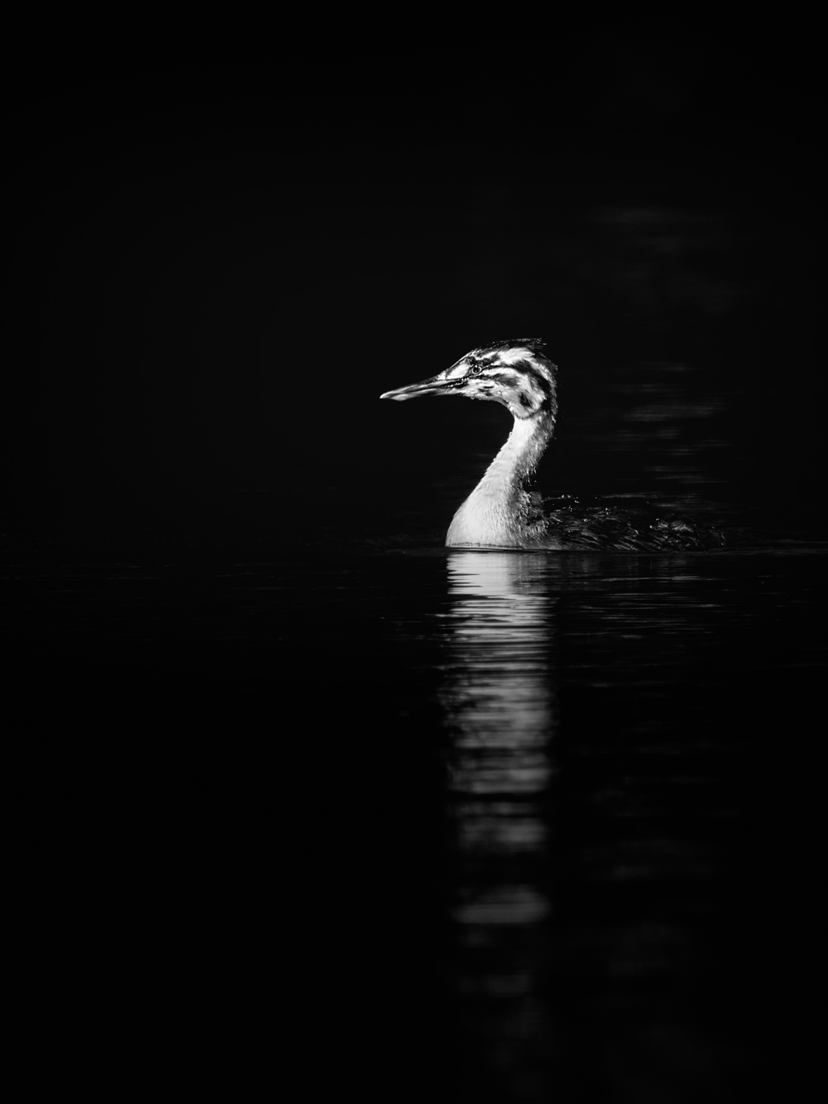 Nature4.jpg