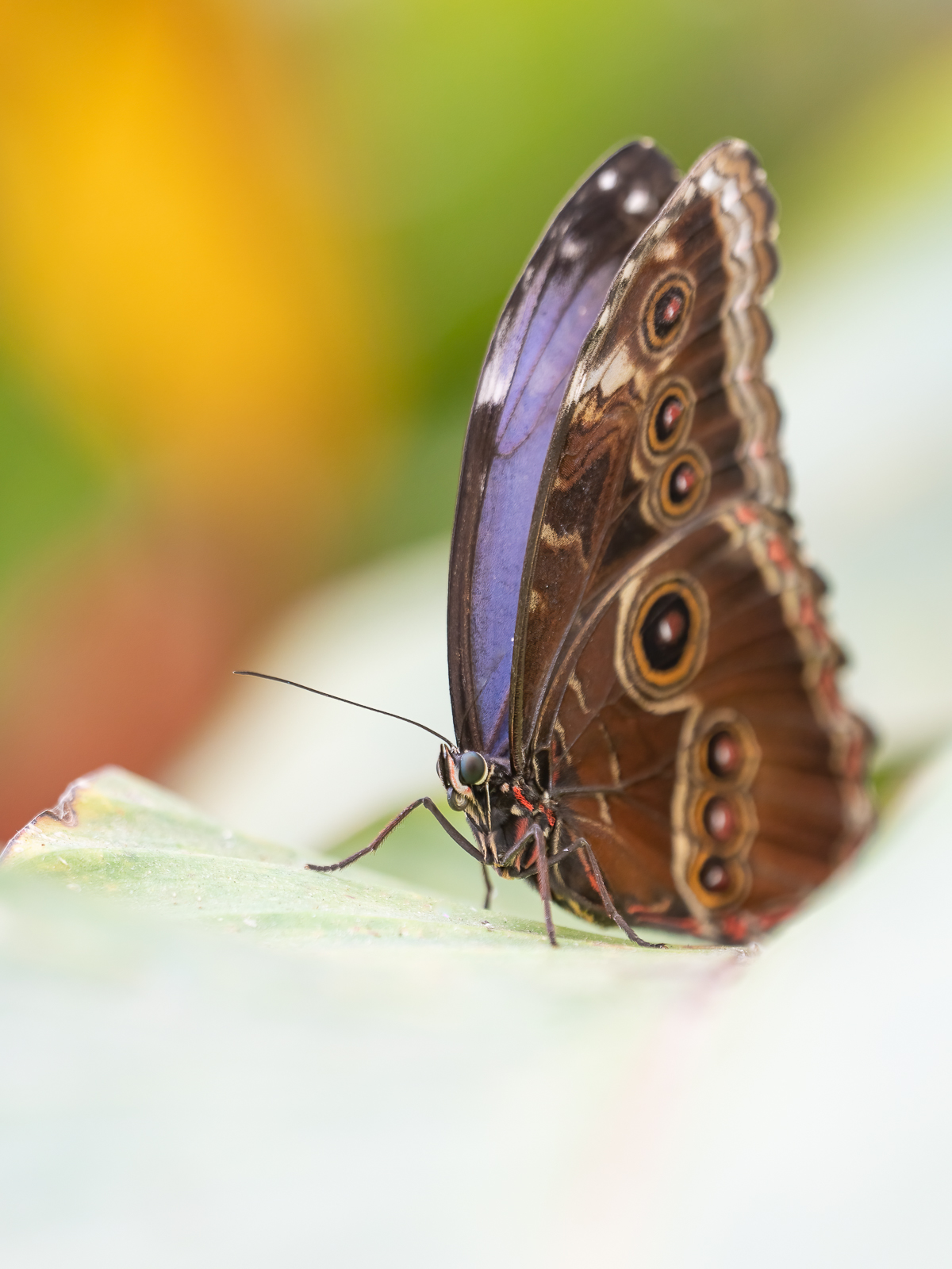 DSC_0487-Modifier.jpg