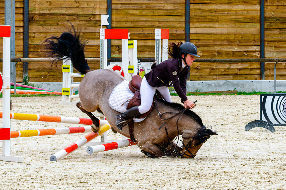Cheval2web.jpg