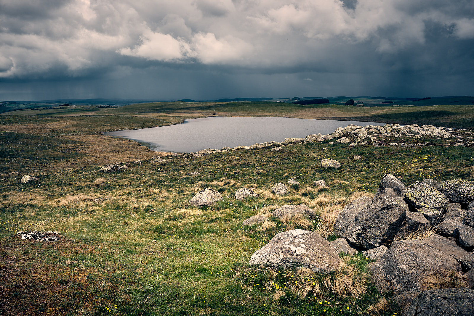 2254_D753424_Aubrac.jpg