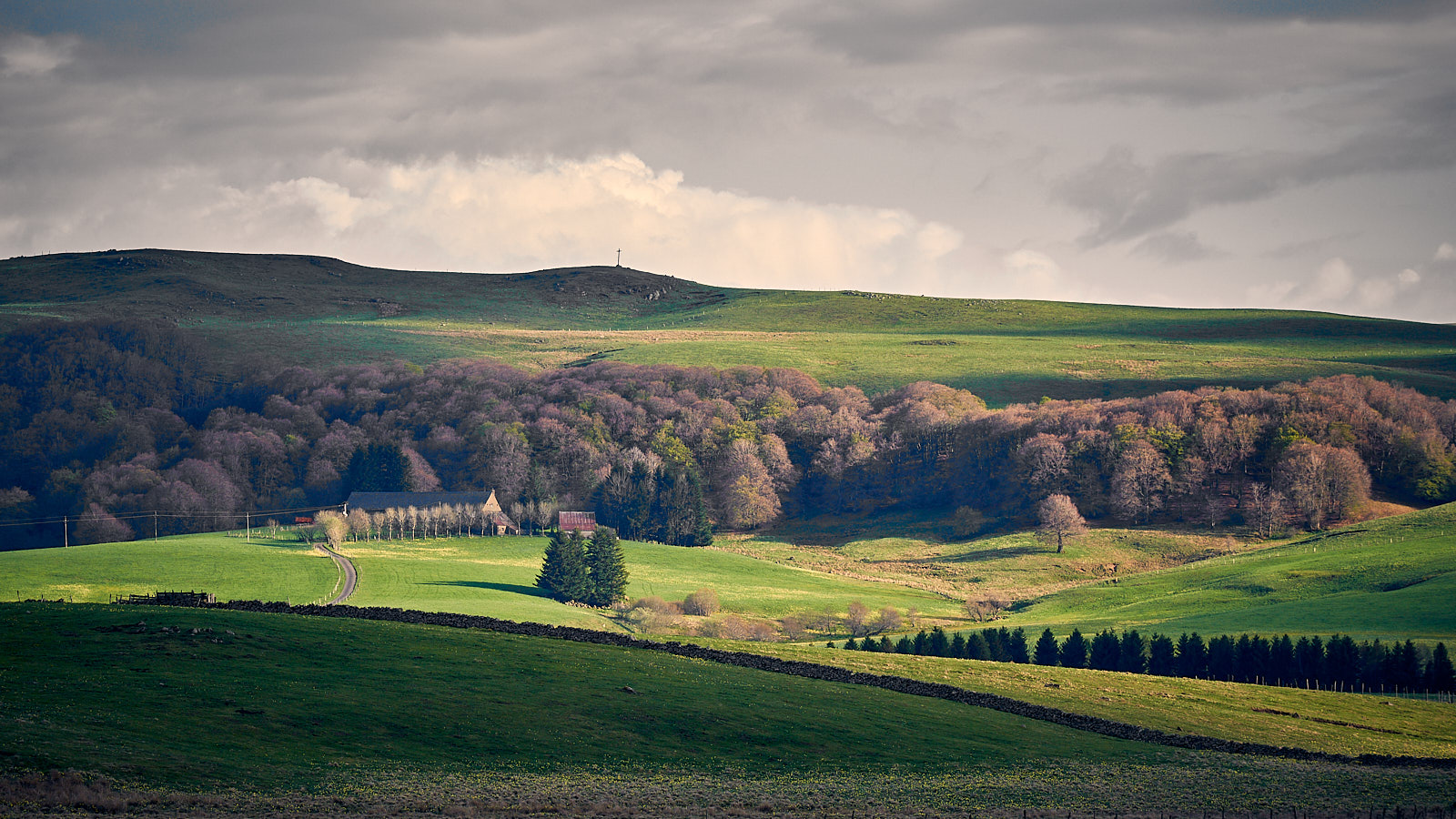 2255_D753563_Aubrac.jpg