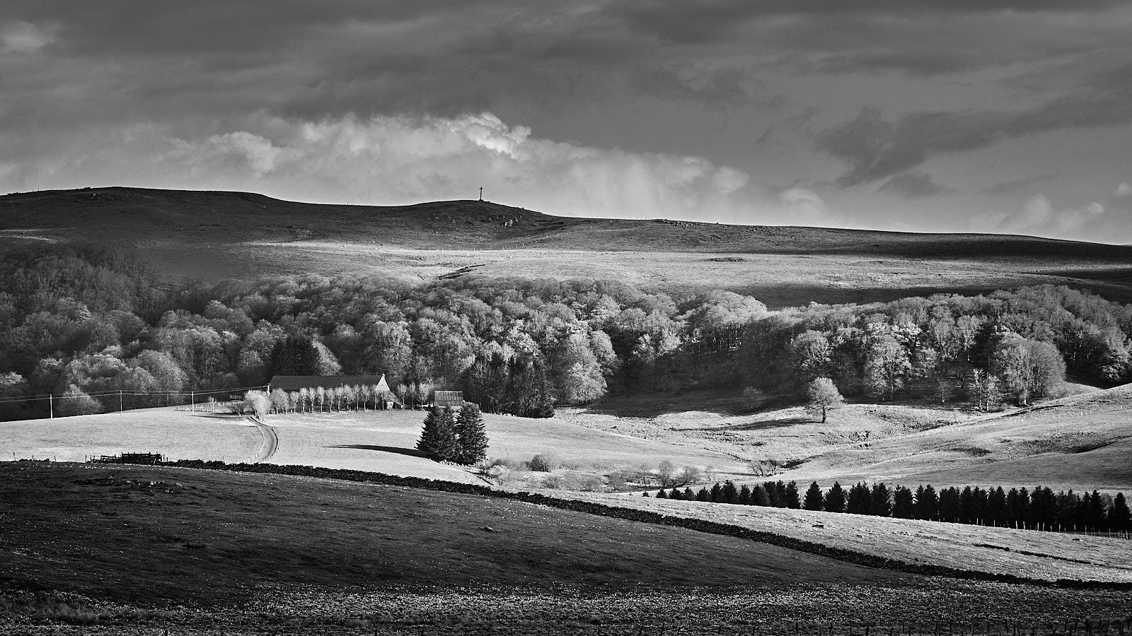 2255_D753563_Aubrac 1.jpg