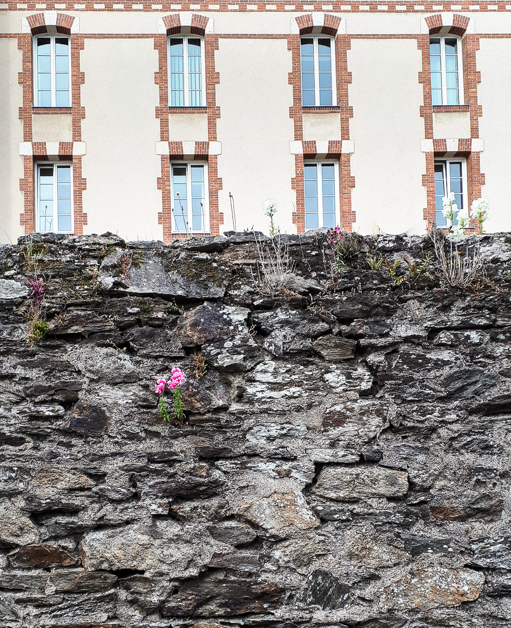 Au pied du mur.jpg