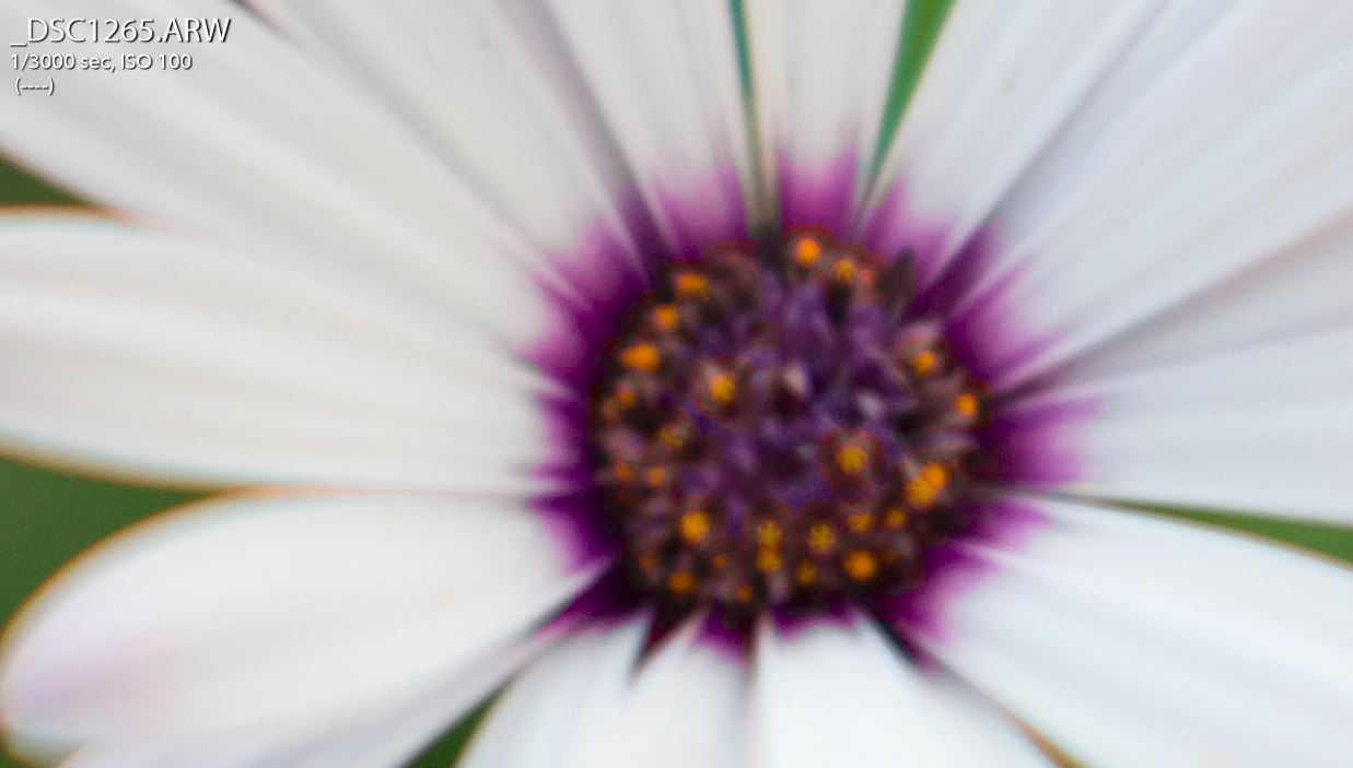 Crop1.JPG