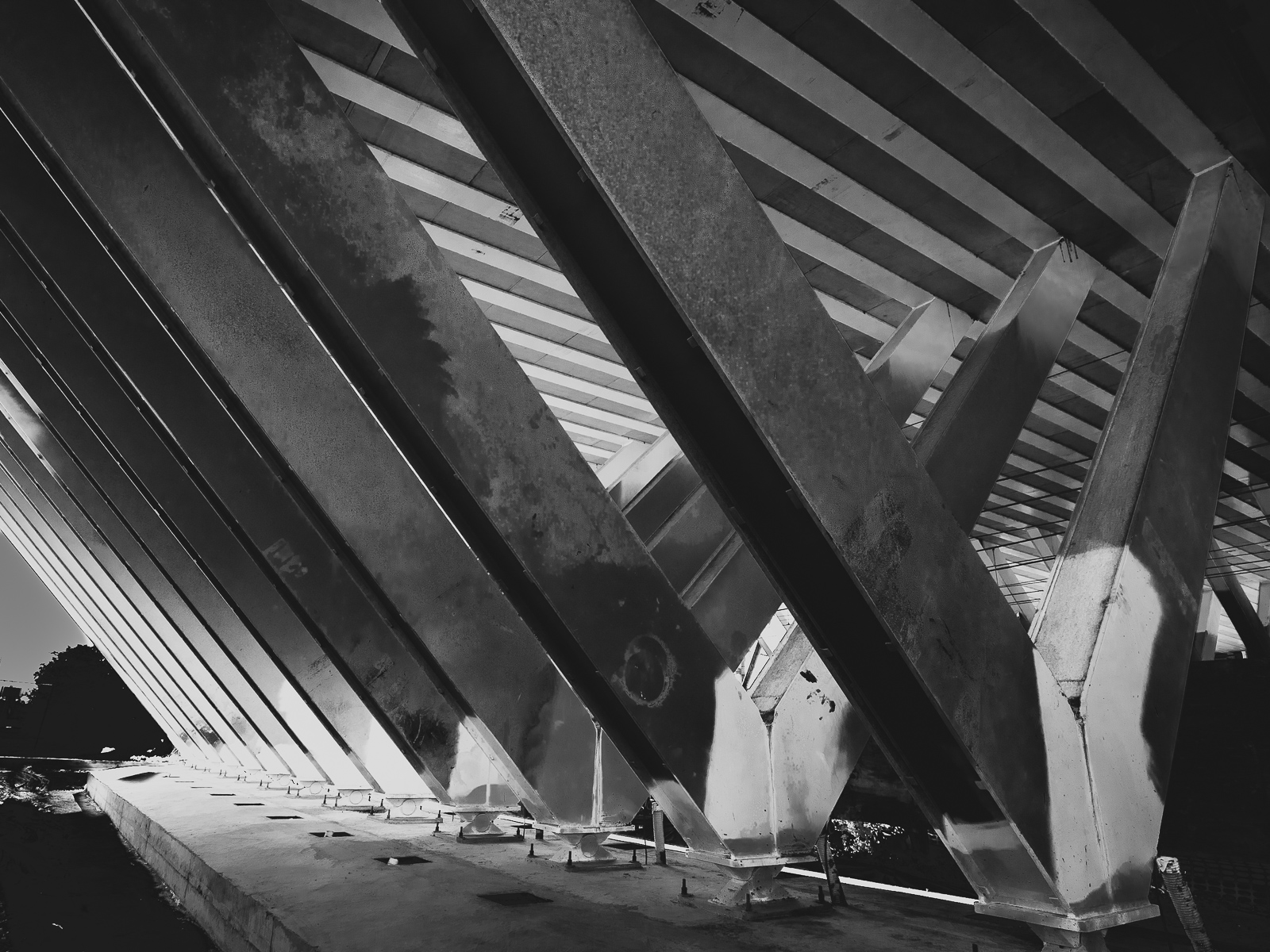 V03.jpg
