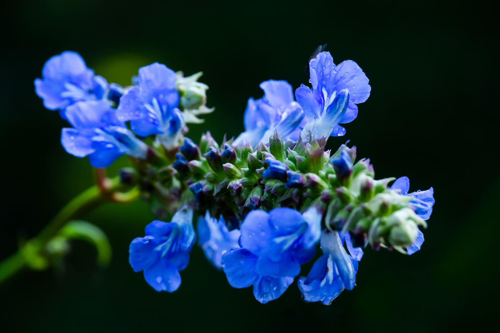 _9291020-2-3.jpg