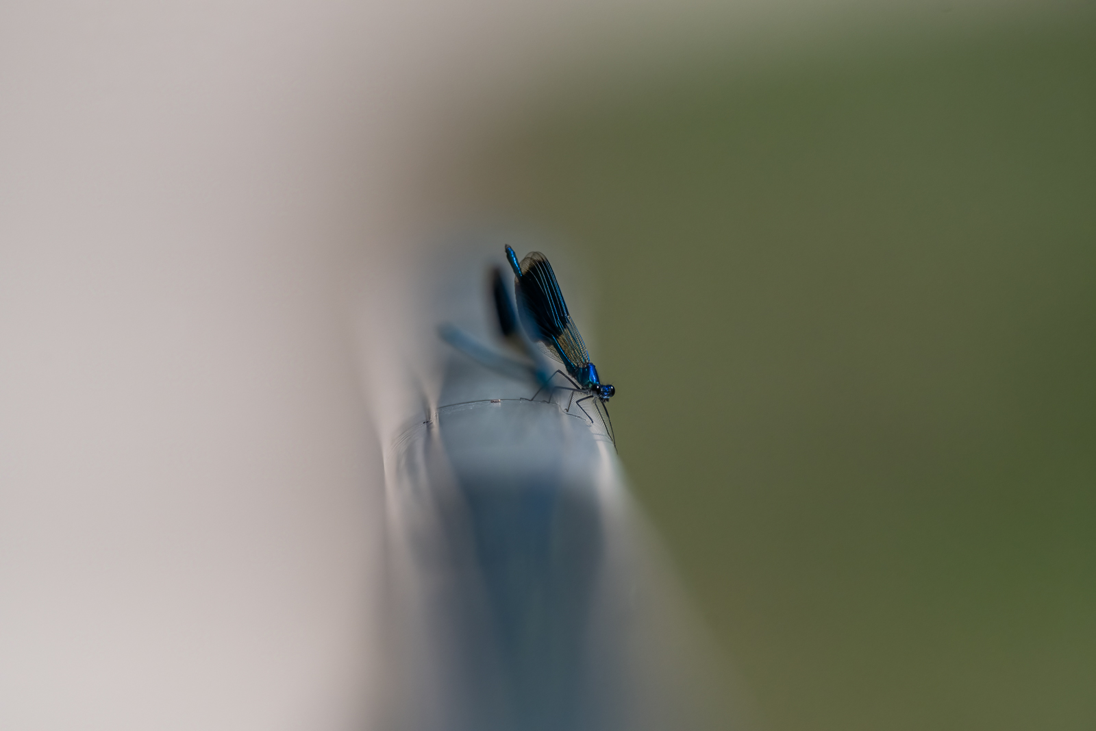 DSC_2297-Modifier-2.jpg