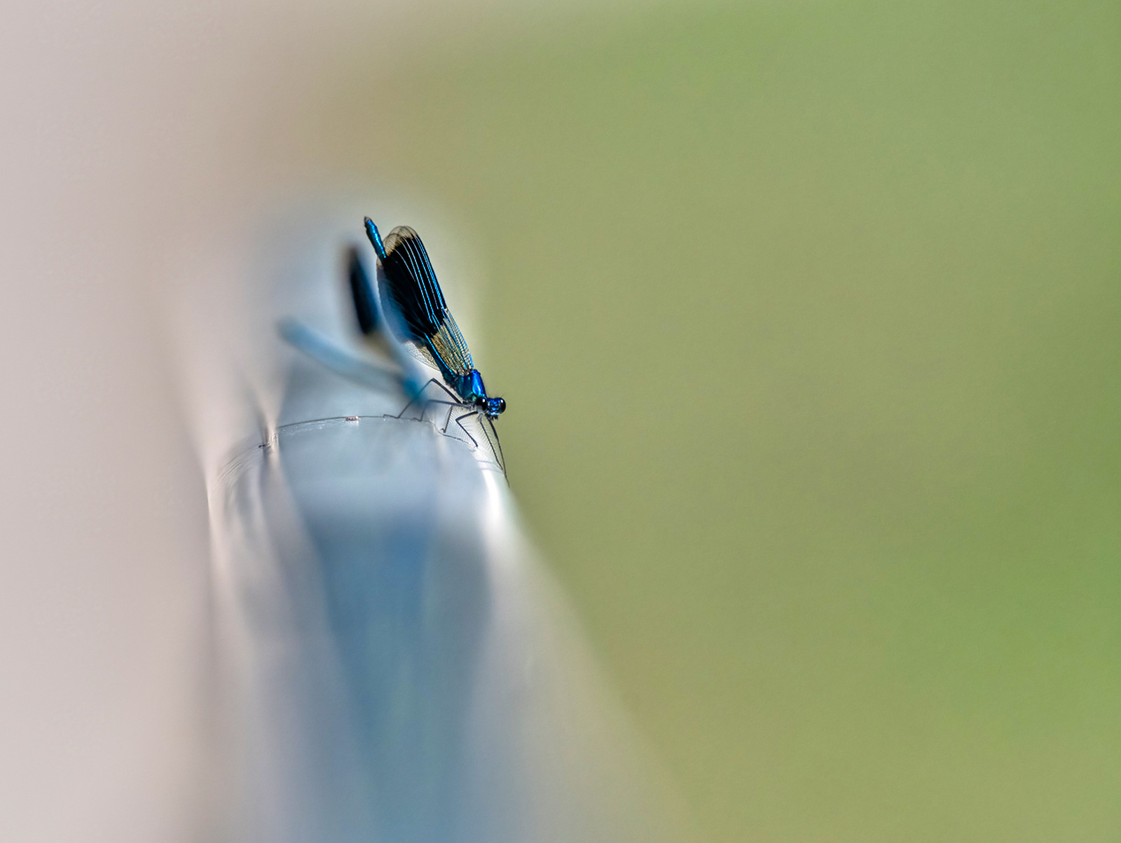 DSC_2297-Modifier-2.jpg