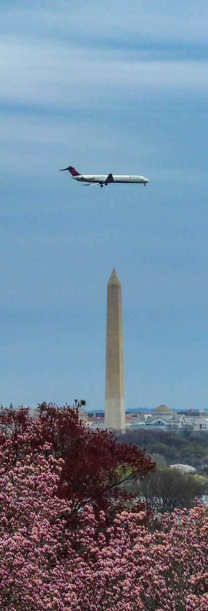 P1000547-8-2-3 serré .jpg