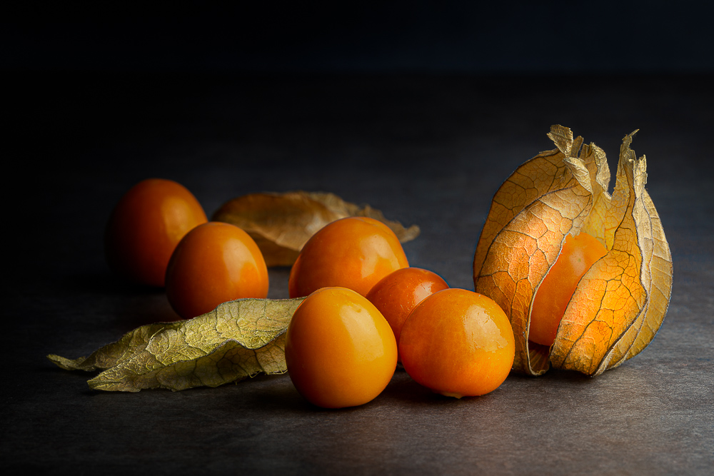 physalis 5.jpg
