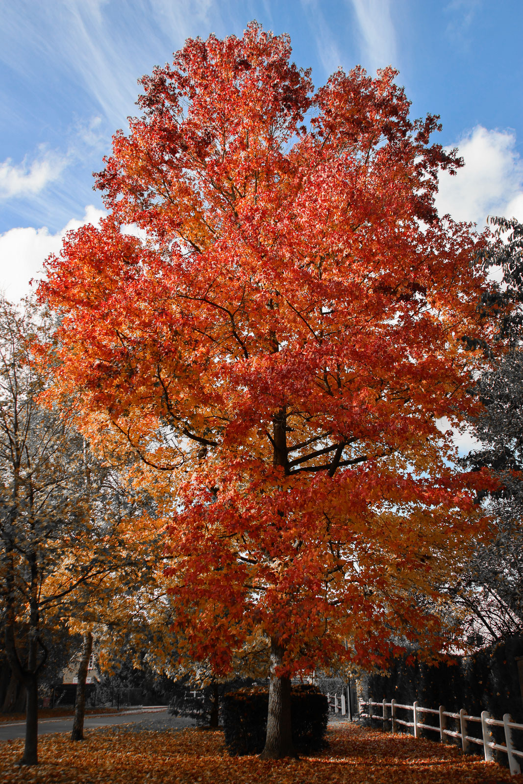 CB9A0528-4b-2.jpg