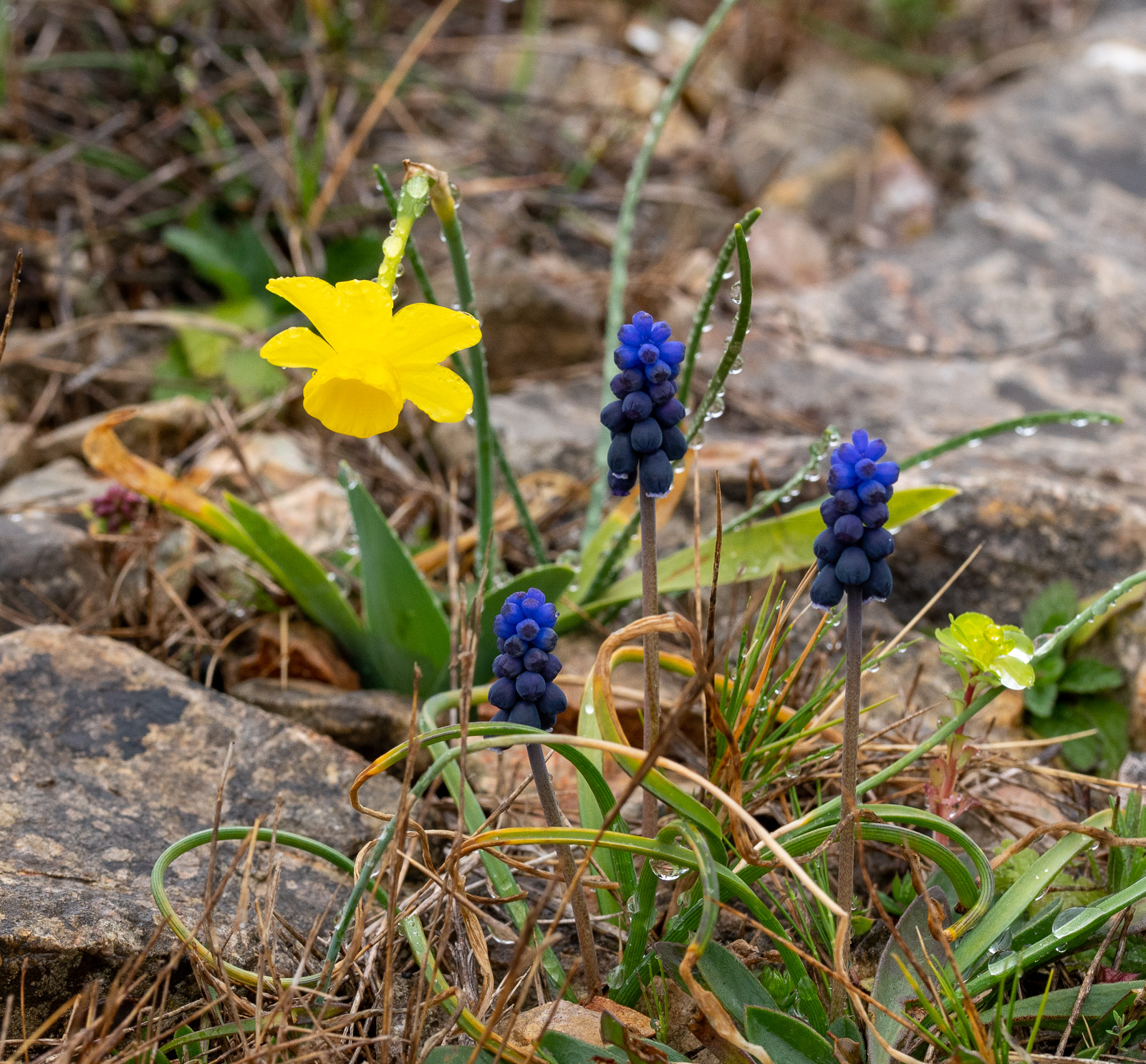 DSC_0327.jpg