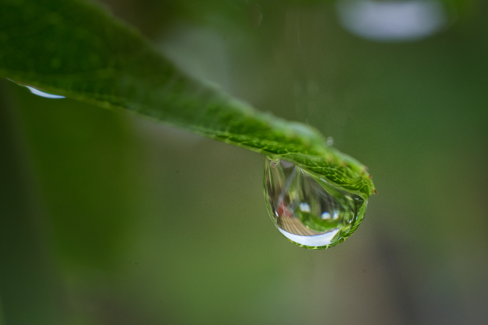 _DSC7008-Modifier-Modifier.jpg