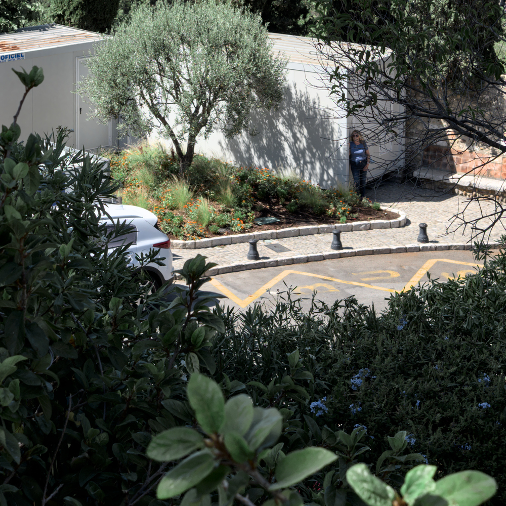 DSCF6789.jpg
