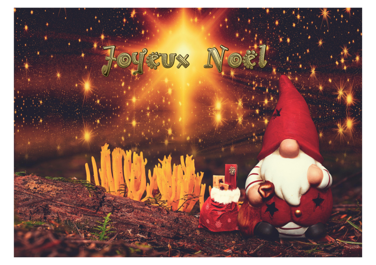 Joyeux Noël.jpg