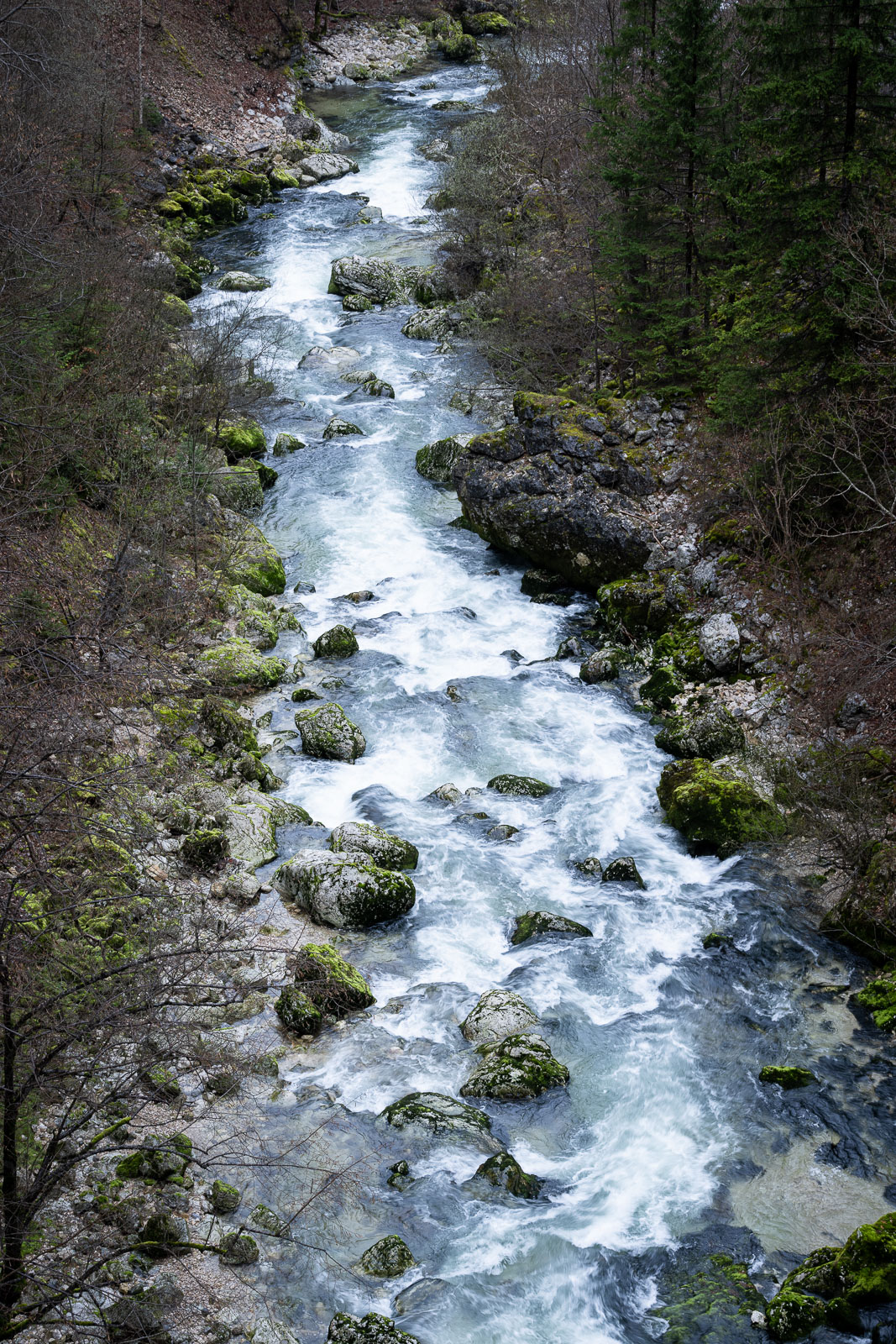 26032023-_DSC0097.jpg