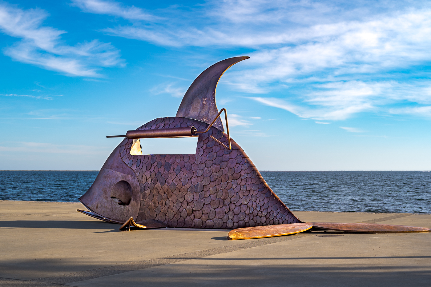 _7M35304-2.jpg