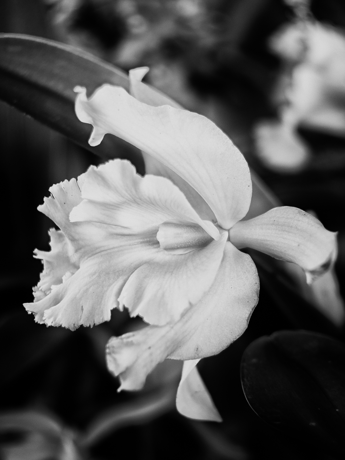 _3233537_542_NB.jpg