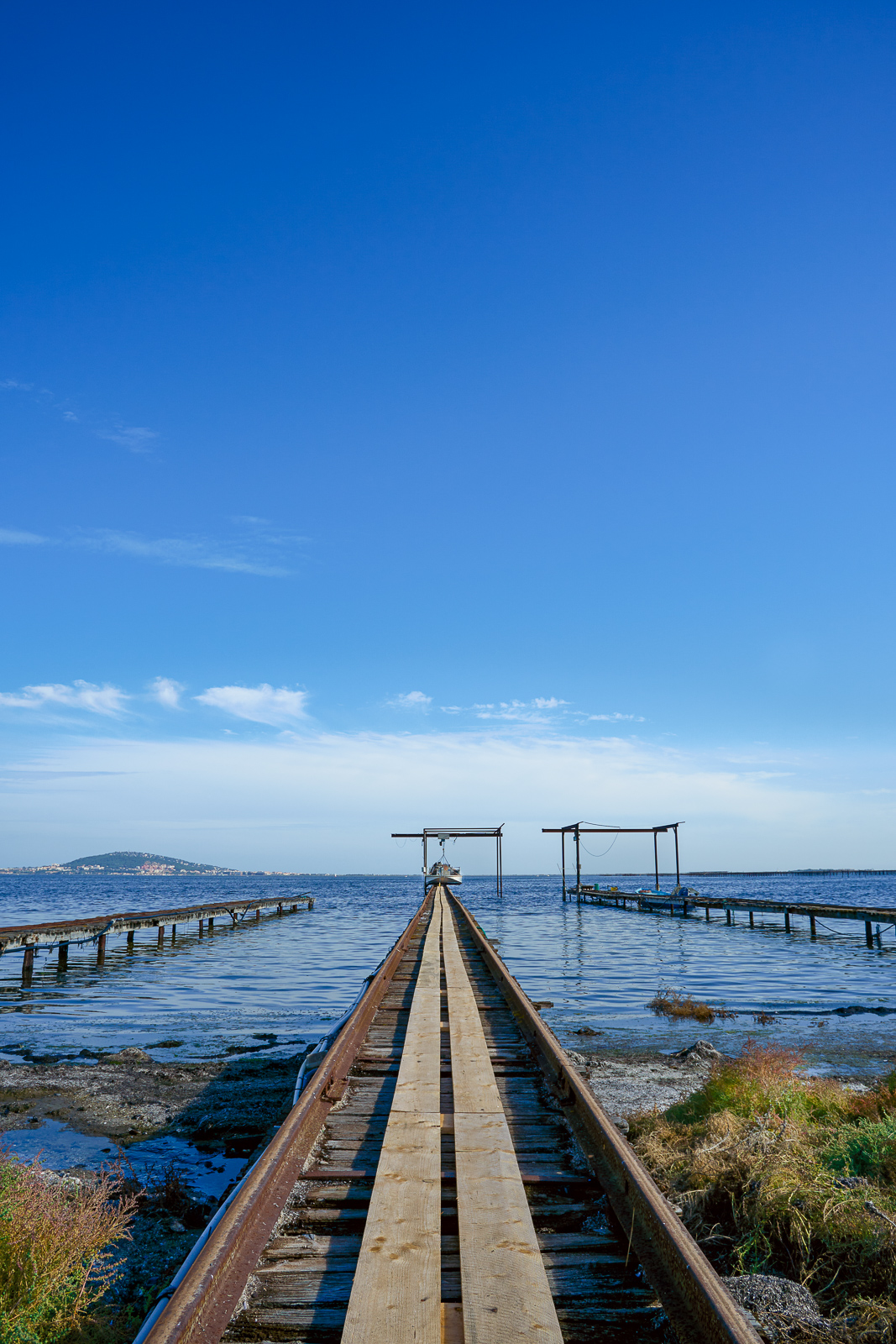 A7_01066_Exacta24F16.jpg