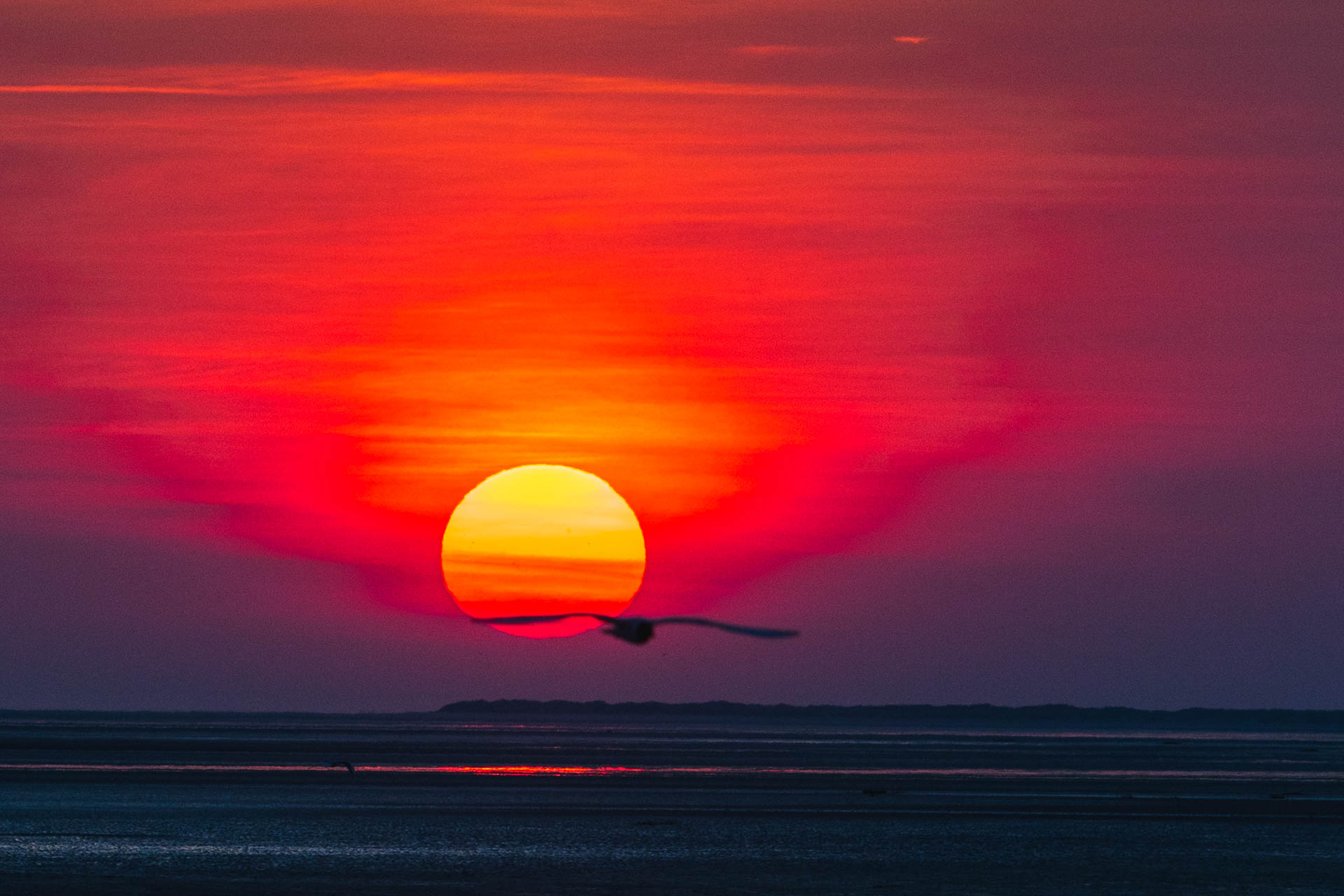 5 - Baie de somme.jpg