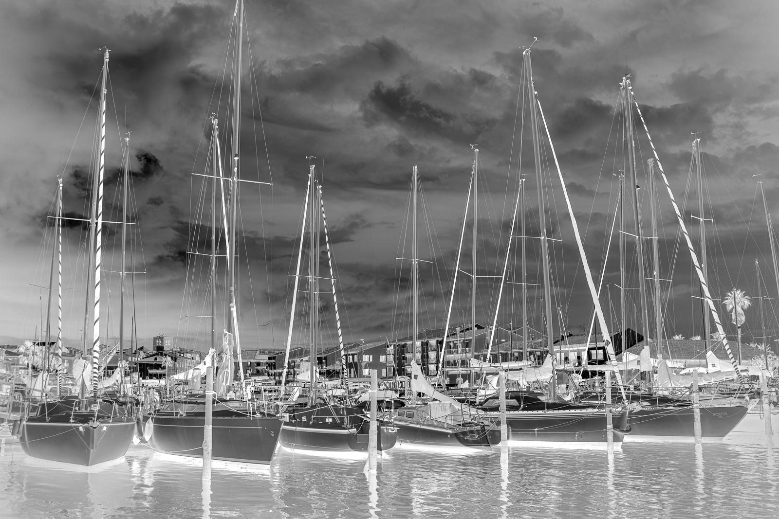 PSGREY_A7_2430.jpg