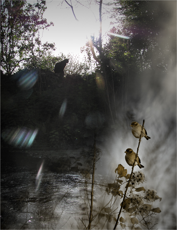 Export vers OOP-2.jpg