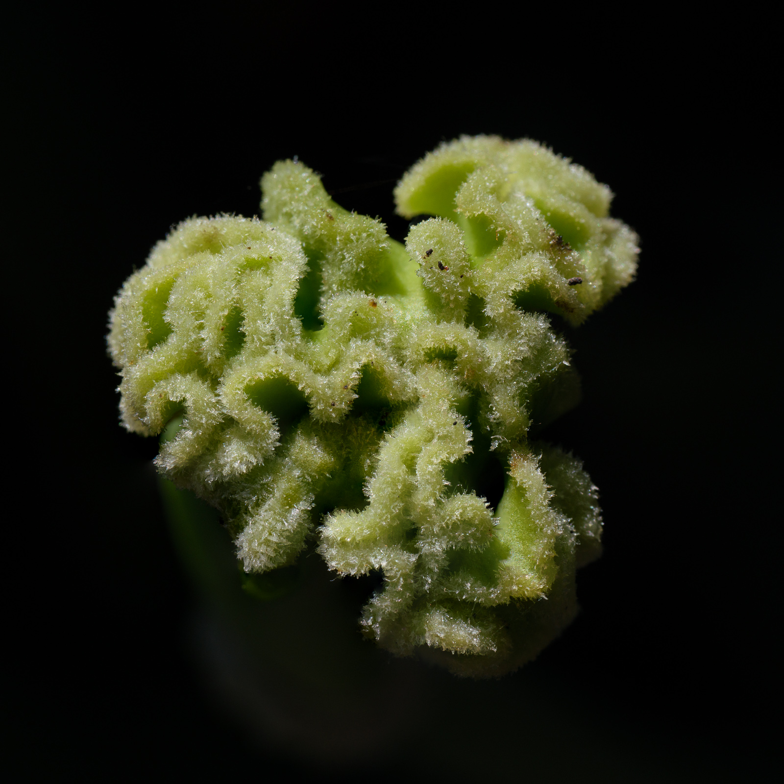 P2003071-Modifier.jpg