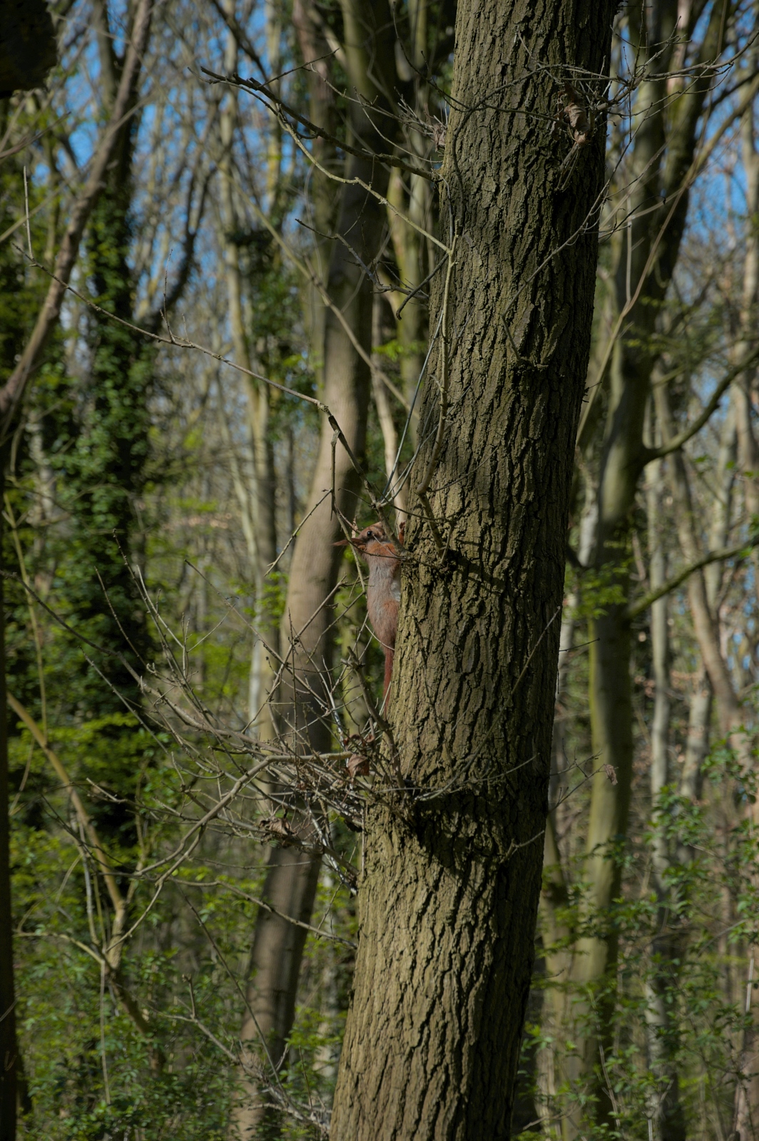 DSC_0008.1.jpg