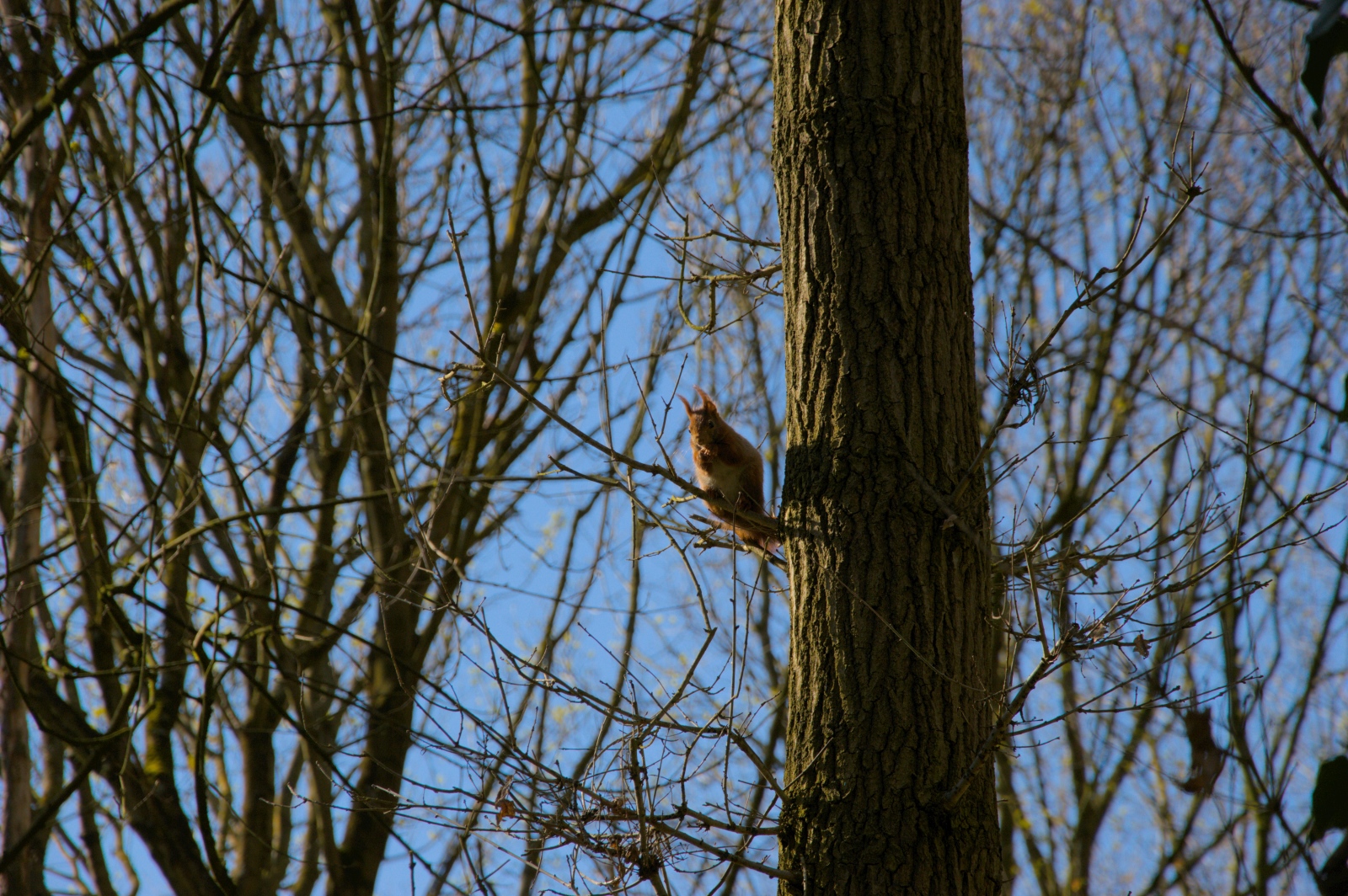 DSC_0010.1.jpg
