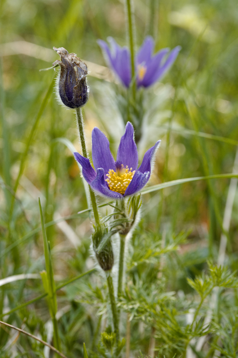 IMG_7619_DxO.jpg