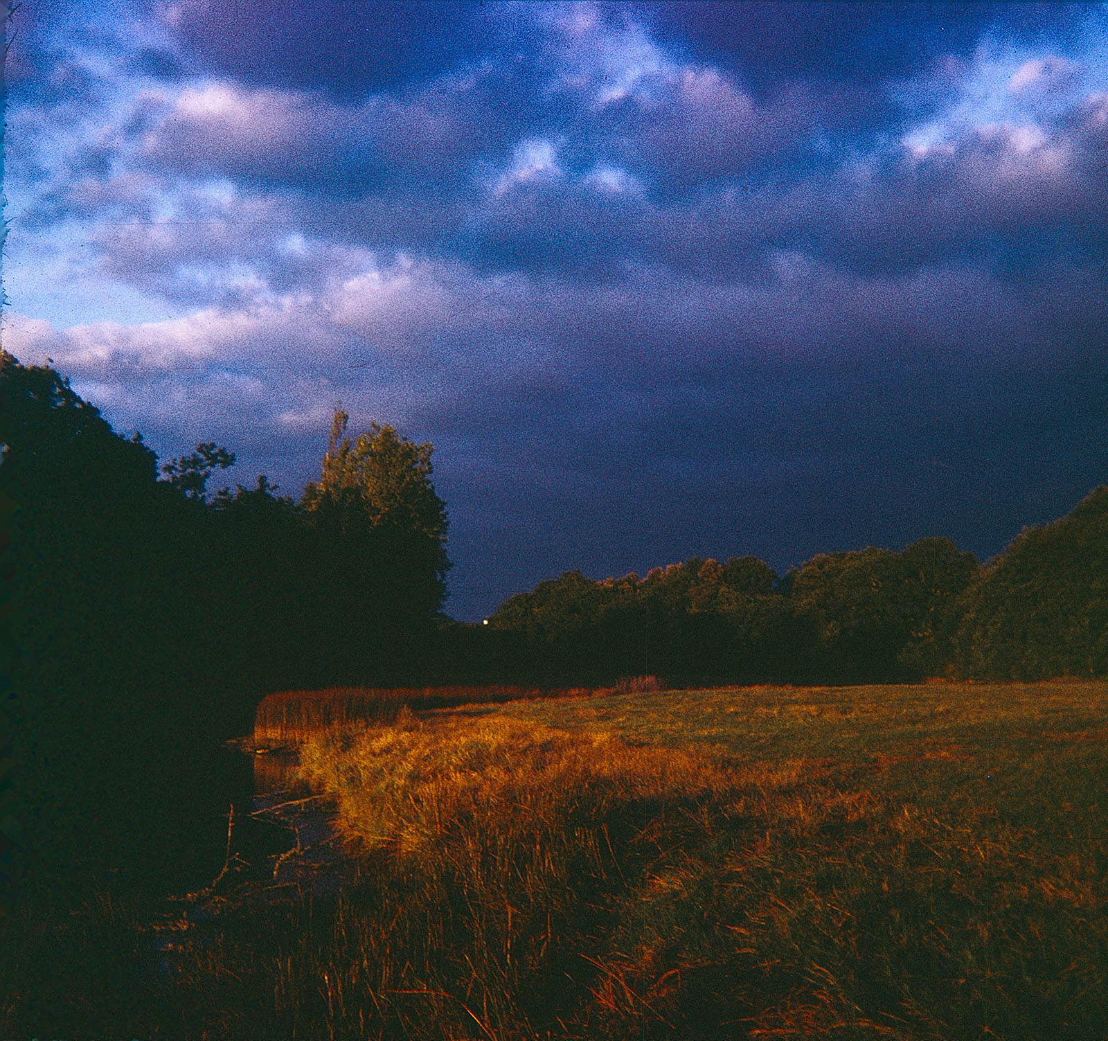 Diapo_00019.jpg