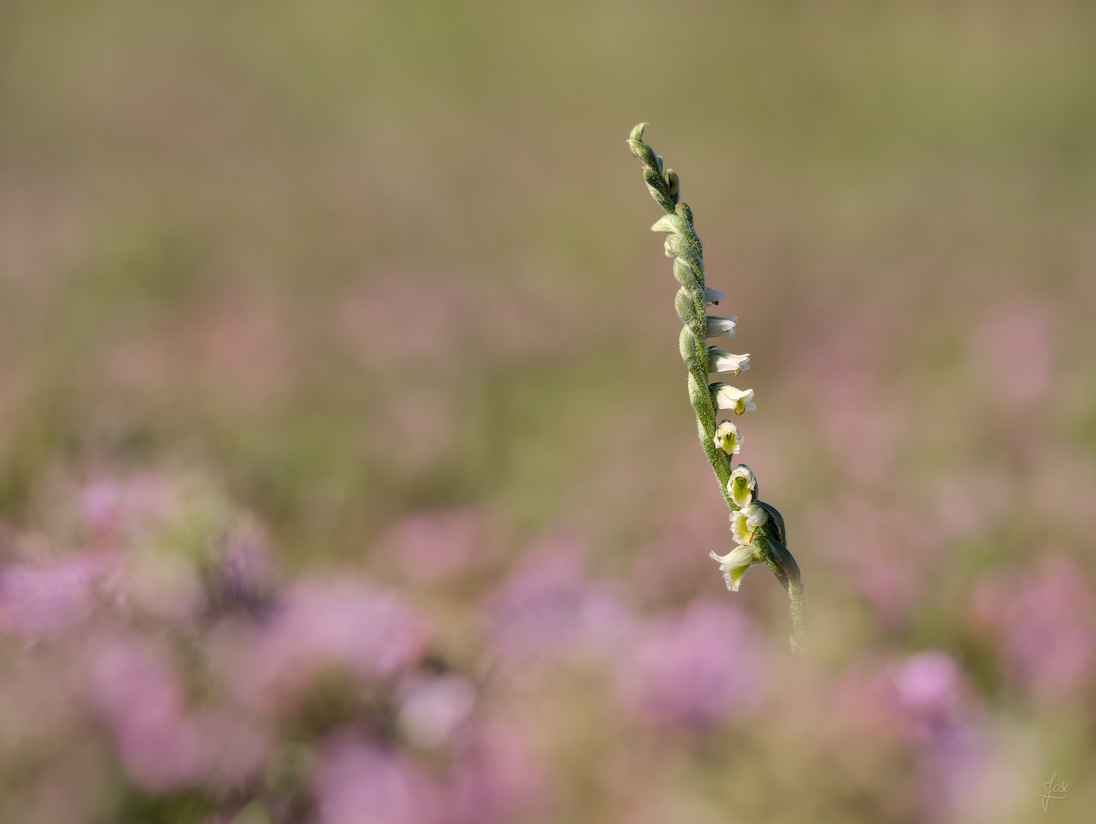 20250906__0214.jpg