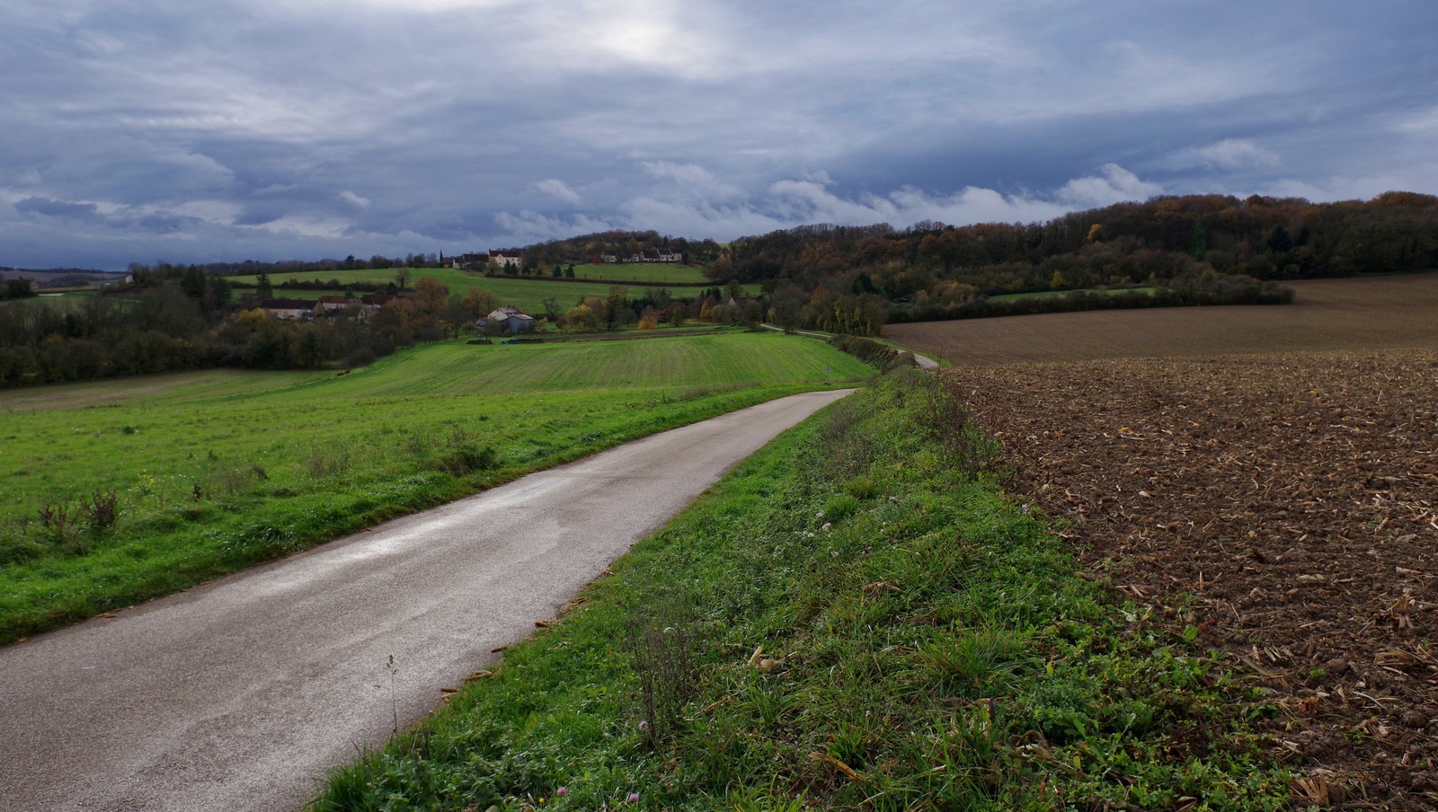 IMGP2291 2.jpg