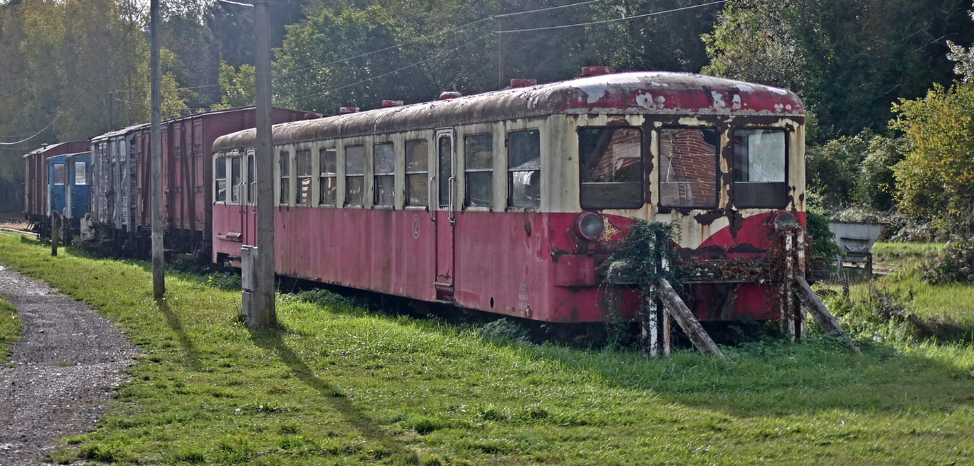 21 octobre 2023 Puisaye (32).JPG