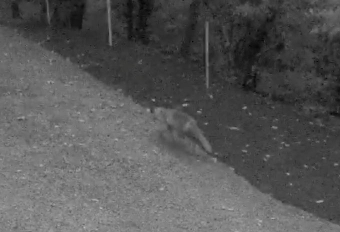 Capture d’écran 2025-12-16 à 11.08.17.png