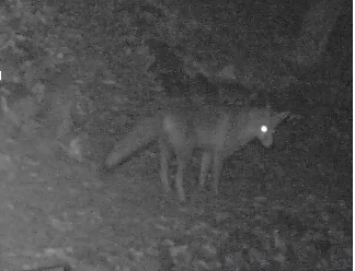 Capture d’écran 2025-12-16 à 11.12.29.png