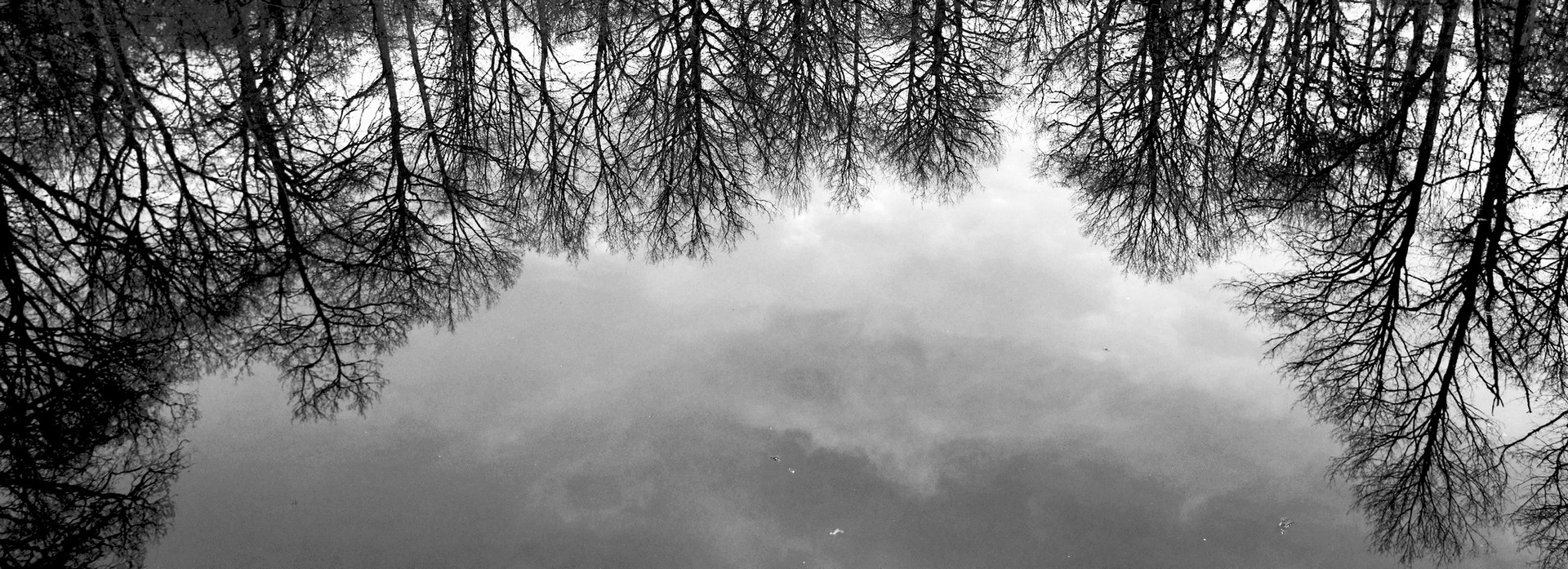 17 01 26 Etang (7).jpg