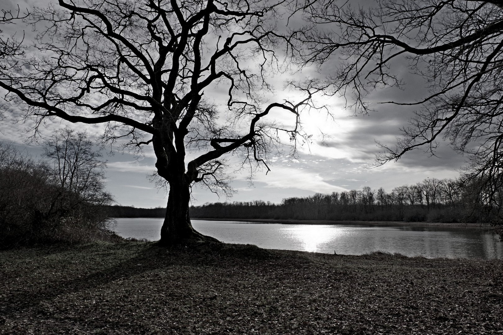 15 01 26 Le vénérable ..jpg