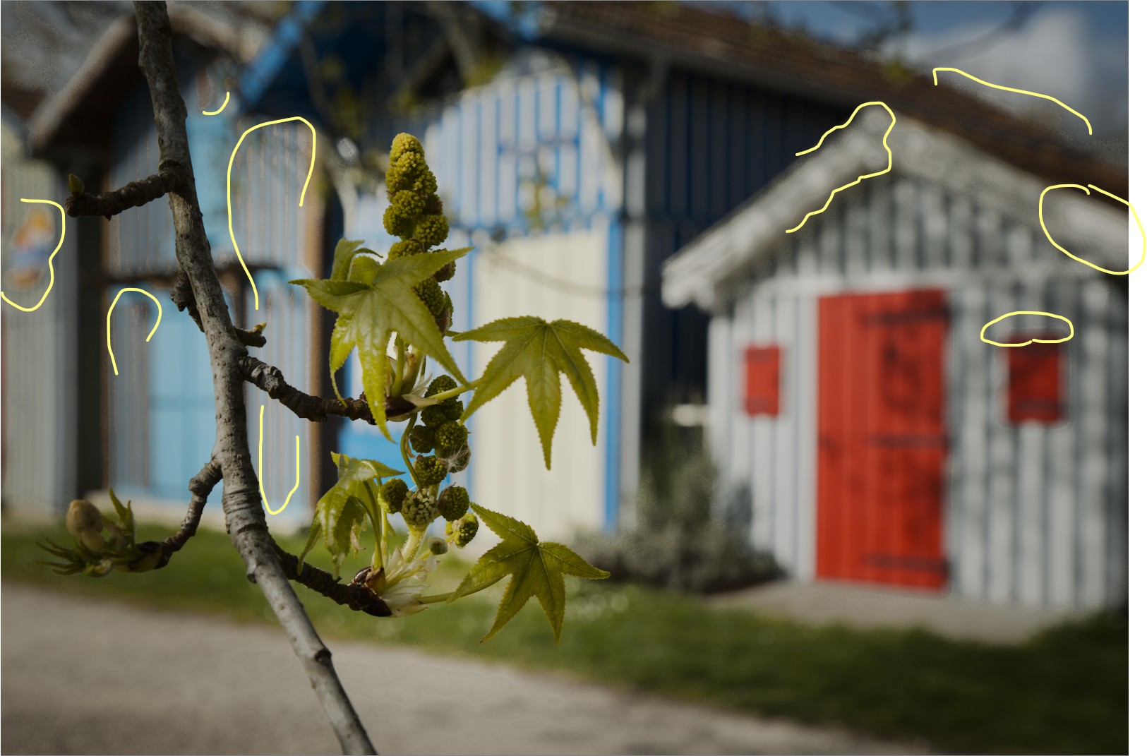 Capture d’écran 2026-03-31 182617.jpg